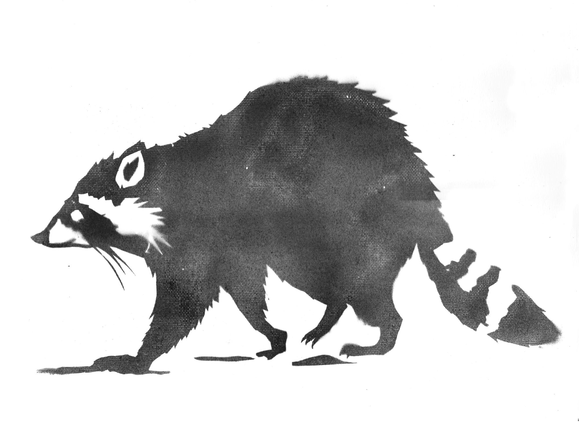 Raccoon Walk stencil